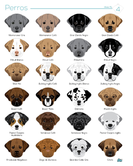 plaquitas-razas-perro-entrega-en-6-dias-habiles