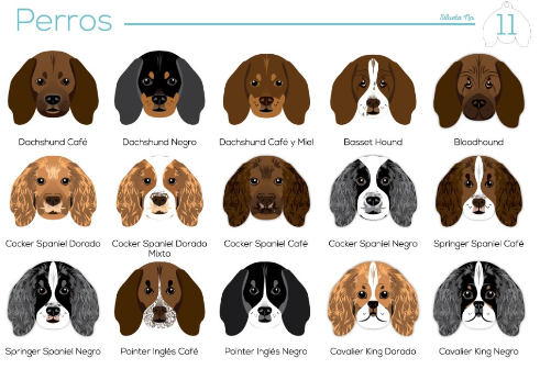 plaquitas-razas-perro-entrega-en-6-dias-habiles