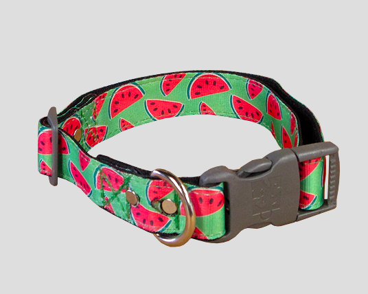 animal-shop-collar-patillas