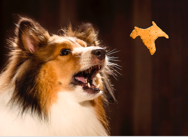 Galletas De Cerdo Pet Gourmet X 18