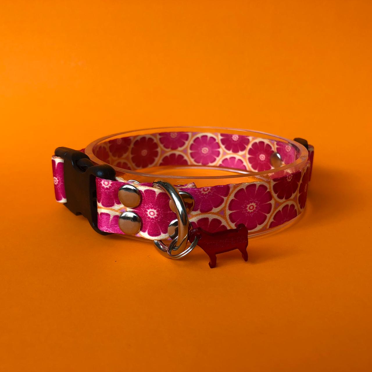 collares-estampados-ignacio