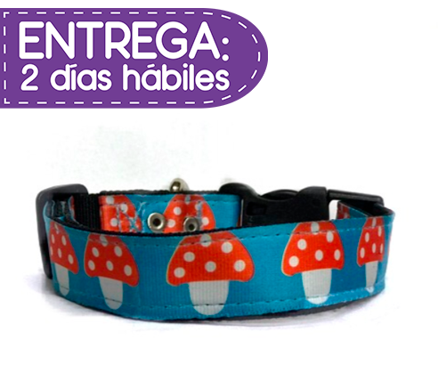 Collar Hongo Animal Shop ** Entrega en 2 Días Hábiles Ruta Tarde **.