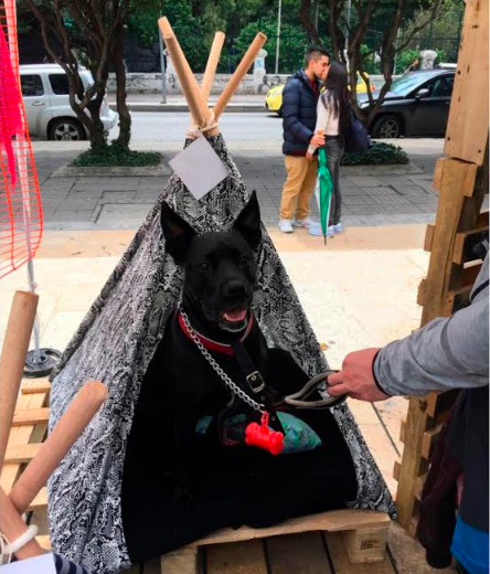 casa-tepee-animal