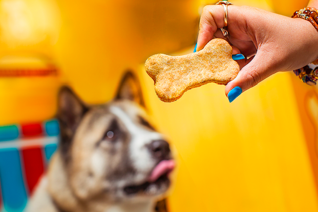 Galletas Combinadas Pet Gourmet ** Entrega en 1 Día Hábil Ruta Tarde **