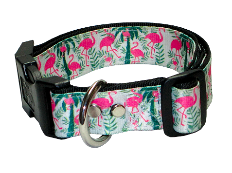 Collar Flamingos
