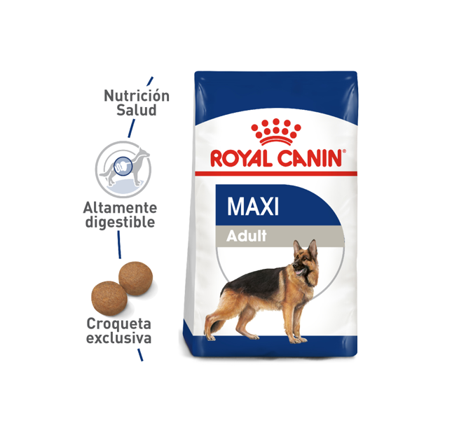 royal-canin-maxi-adult-5