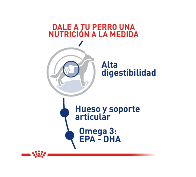 royal-canin-maxi-adult-5