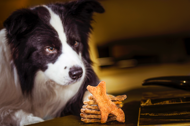 Galletas De Ternera Pet Gourmet X18