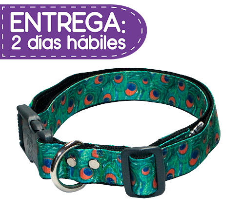 Animal Shop - Collar Pavo Real