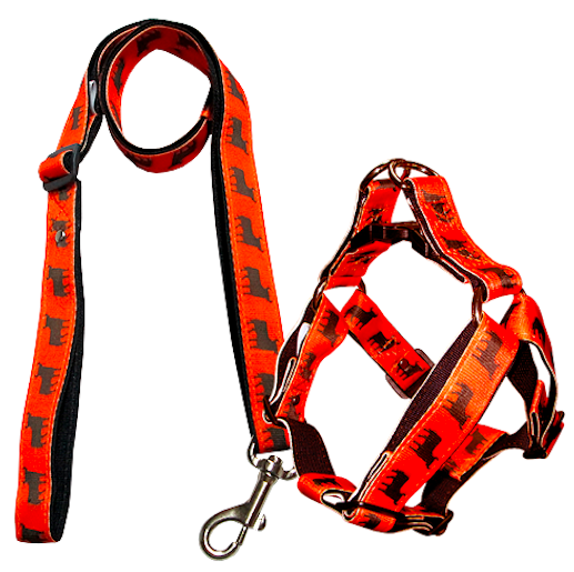 animal-shop-arnes-toros