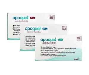 Apoquel- Inactivo