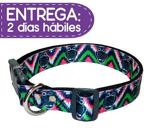Animal Shop - Collar Búhos