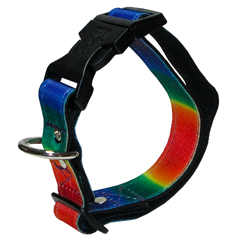 animal-shop-collar-rainbow