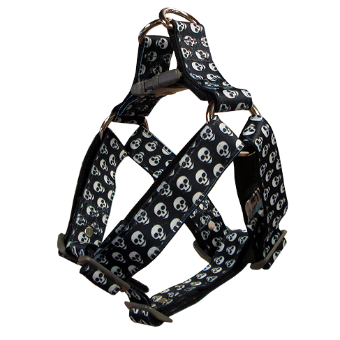 animal-shop-arnes-calavera-azul-oscuro