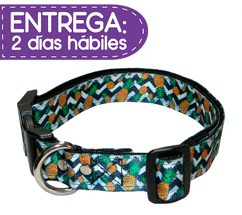 Animal Shop - Collar Piñas