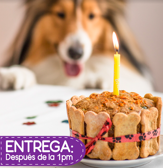 Torta Fiesta Clásica Pet Gourmet (1.000gr)