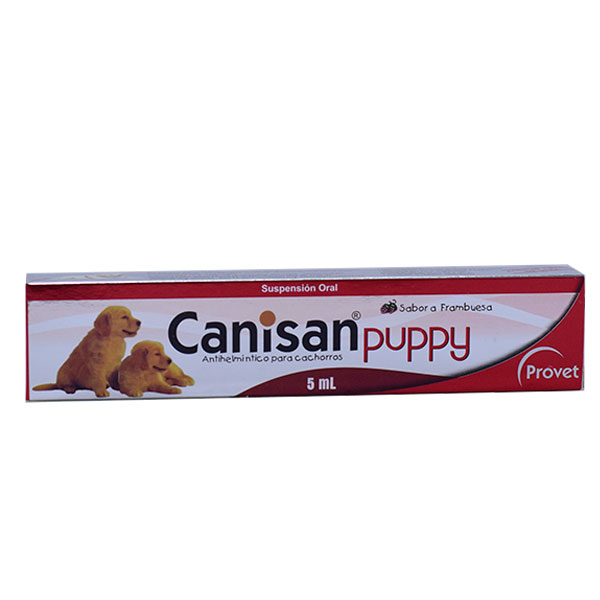 Canisan Puppy