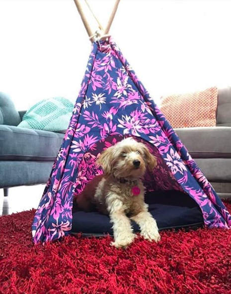Casa Tepee Flores Rosas ** Entrega en 6 Días Hábiles **