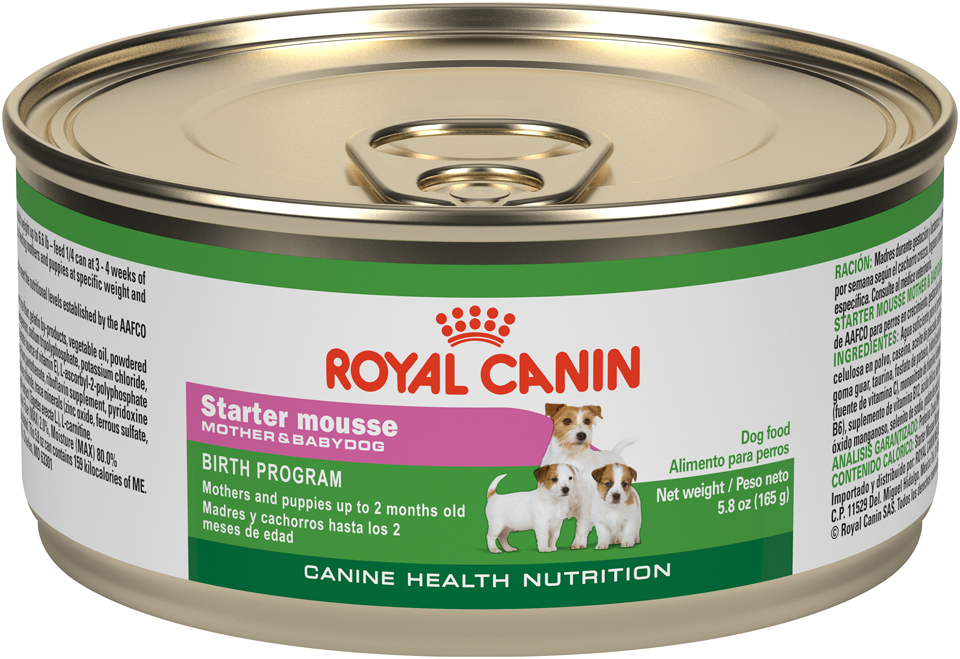 Starter Mousse Mother And Babydog