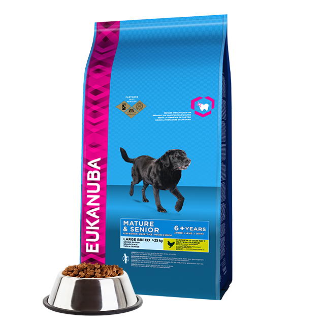 Eukanuba Senior Raza Grande 6+ **Entrega Al Día Siguiente**