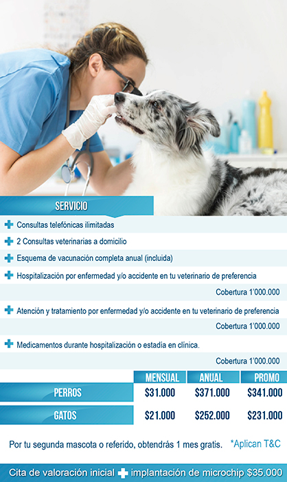 laika-vet-care-medicina-prepagada-gato-anual