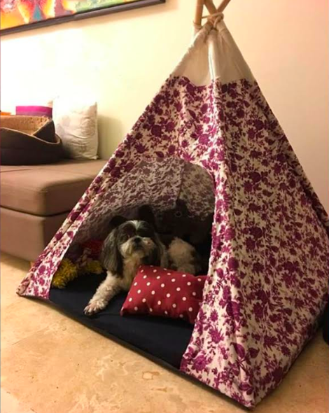casa-tepee-flores-morada6-dias-habiles-de-entrega