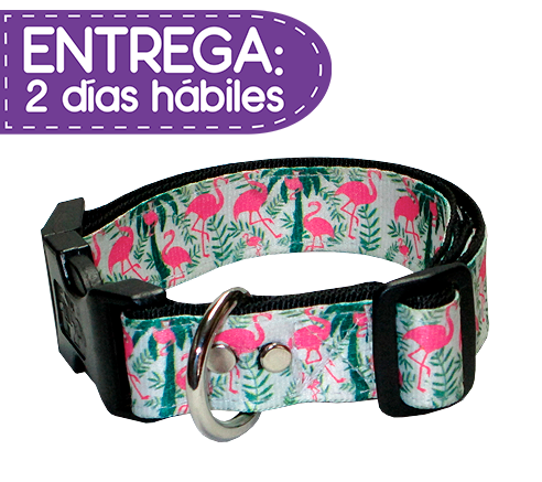 Animal Shop - Collar Flamingos