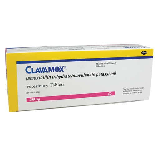 Clavamox