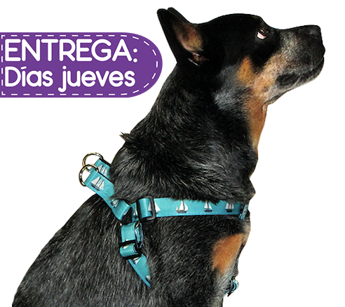 Animal Shop - Arnés Veleros