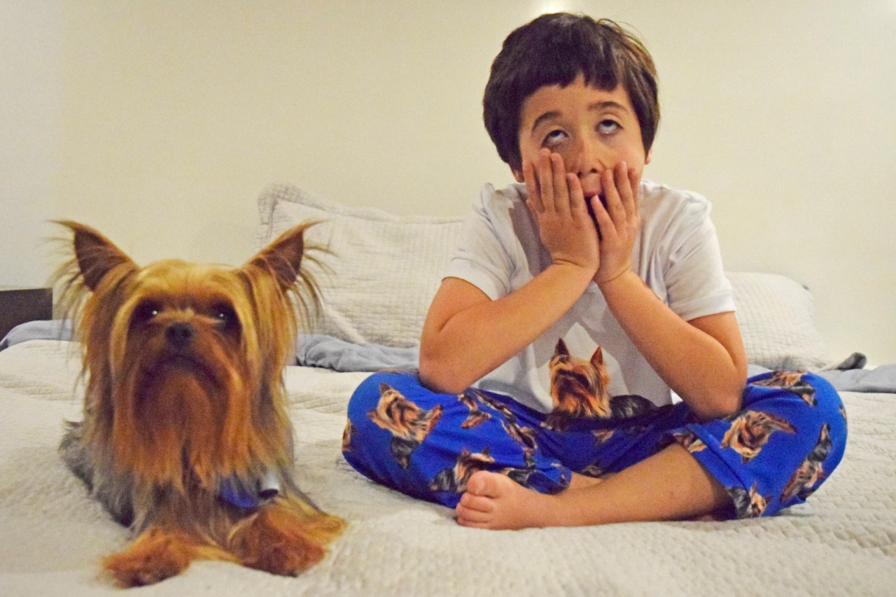 pijamas-moonlight-pijama-personalizada-estampado-perros