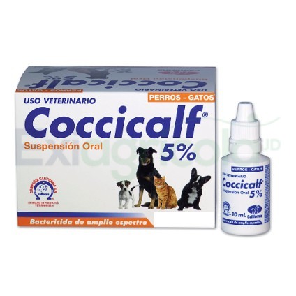 Coccicalf