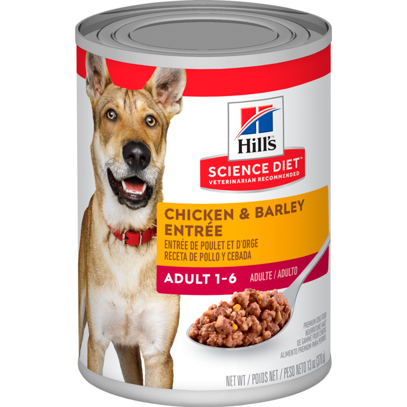 Hills - Science Diet Adult Chicken & Barley Entrée Lata Dog