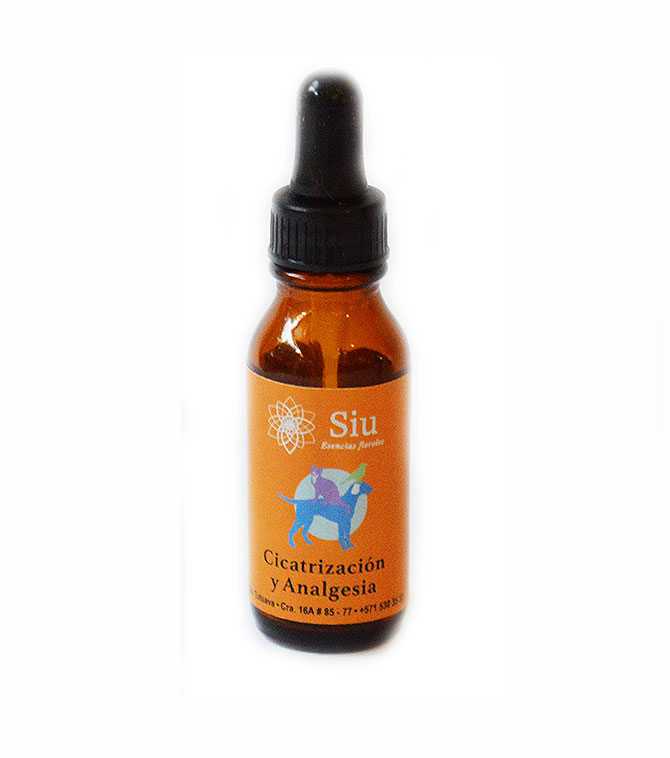 Esencia Floral Alivio Cicatrización Y Analgésico 20 Ml