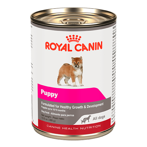 royal-canin-alimento-humedo-cachorro-todas-las-tallas-receta-pollo