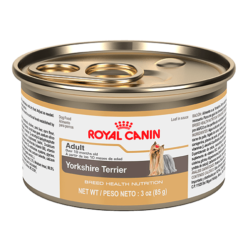 Royal Canin - Alimento Húmedo en Lata para Perro Adulto Raza Yorkshire Terrier
